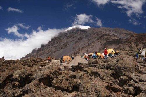 7 Days Lemosho Route Climb | 8 Days Lemosho Route Climb | MT Kilimanjaro Climbing